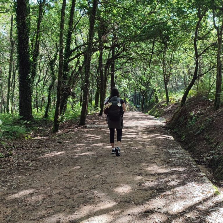 Miedo a hacer el Camino sola/o: cómo se siente realmente